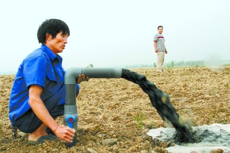 沼液沼渣养泥鳅 变废为宝环境优