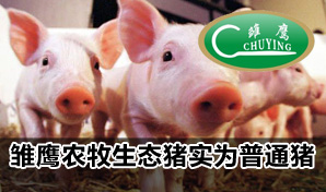 ��Զ�޿����飺���꽱��������360 �в�������