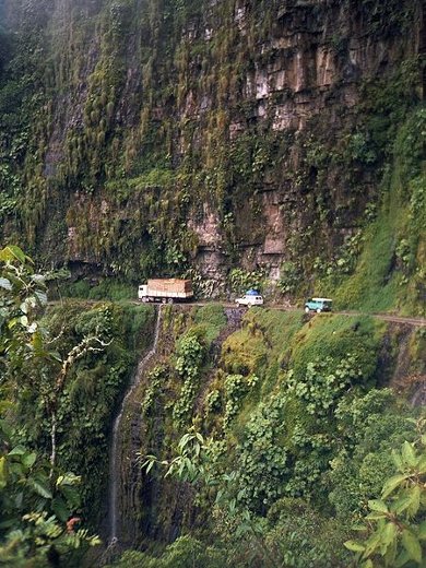 澳媒评全球最危险之旅 极限跳伞狮群漫步(图)