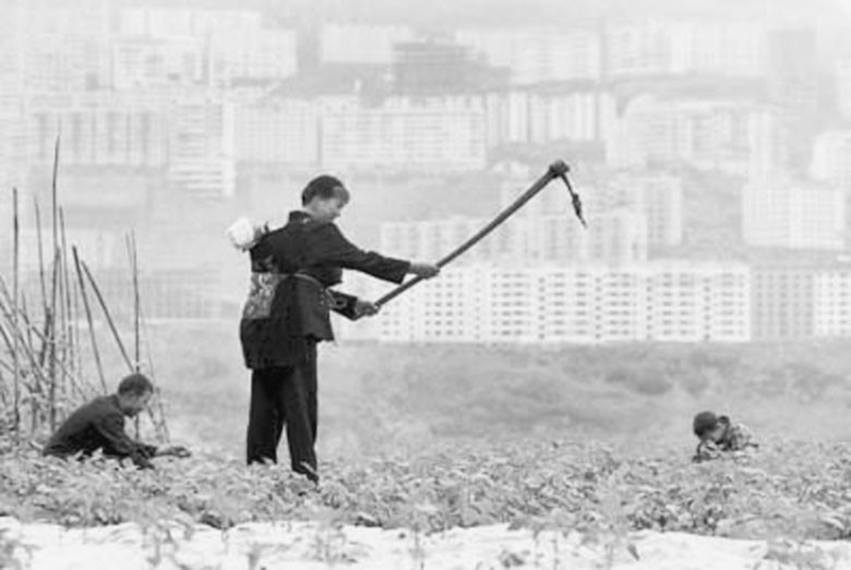 华西村人均收入_台湾农民人均纯收入