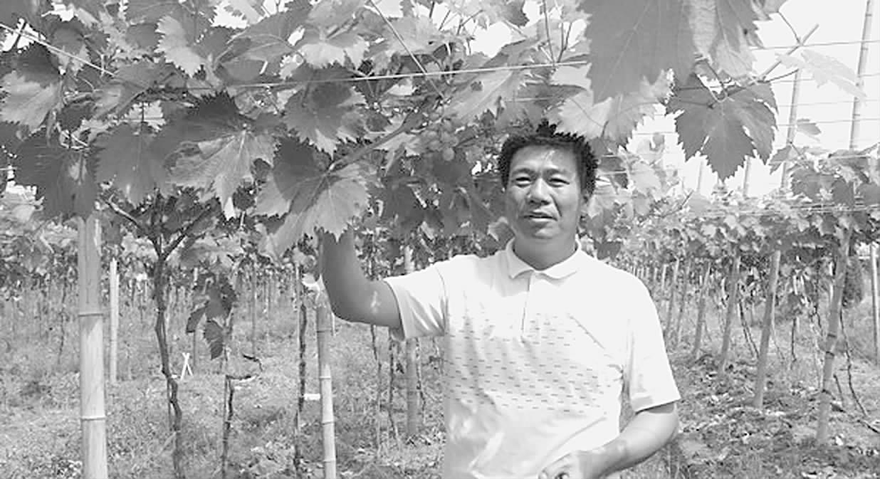 农业企业积极走出国门