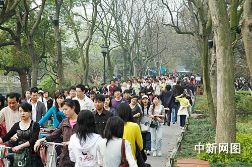 发展旅游业的好处_杭州市旅游业收入