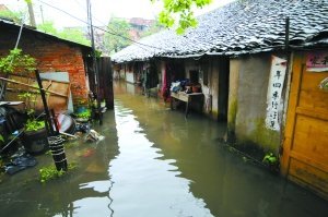 ���ϱ�������������ҽ�6.5����Сѧ��ͣ��