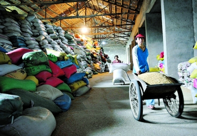 8月19日,江西南昌县向塘镇金谷园粮食加工厂员工在仓库搬运稻谷.