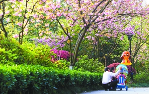 2012���山�����������˾ӳ���