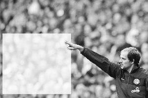 7��ʤ����ĸ������