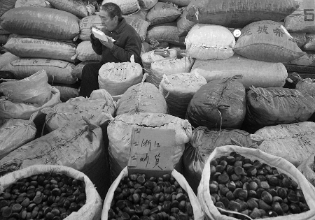 �������ϴڰײ����ĳ�