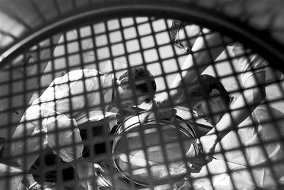 ͼ�ģ�����Ӱ��