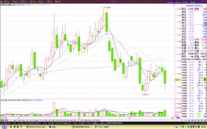 ���������Ŀ��չ����