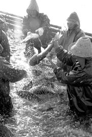 ͼ�ģ������ظ�������ӭ����ĩ�ջ�ʱ��