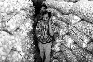 ͨ�͵��ӵ��ڷ�