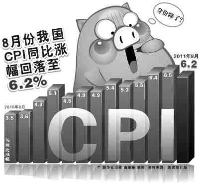 8CPIͬ6.2%ͳΪǼ(ͼ)