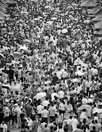 高考志愿填报咨询_滚动新闻