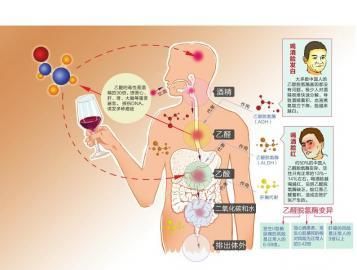 酒精对人体皮肤有什么影响?