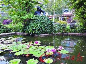 冰岛:居民养老院理发买牛奶 荷兰:生命公寓餐厅