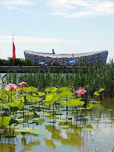 奥林匹克公园09年维护费达6亿 北京市政府买单