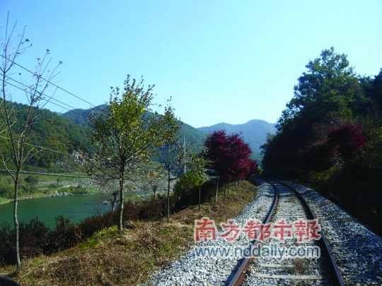 金秋韩国:空气里都有浪漫的味道(组图)