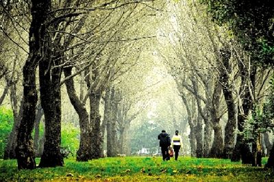 郑州天河路不论哪个季节都是风景(图)