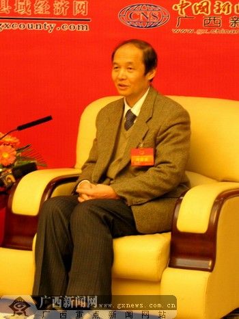 5年后旅游总收入要达2500亿 南宁百亿打造凤亭