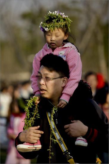 顾村公园四景“攀踏折抛”:樱花节令人反思(图)