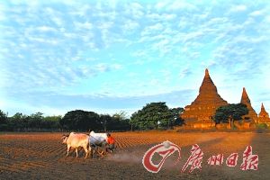 蒲甘与东枝 缅甸的双生花(组图)