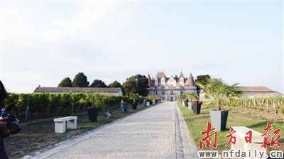 法国:寻访贝尔热拉克(组图)