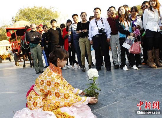 开封菊展:女子自称宋朝“李师师”万元卖菊花
