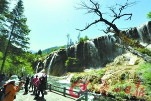 网传旅游流言鉴证实录:不在九寨沟买牦牛肉(图)