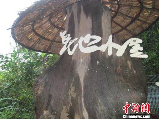 台湾苗栗别具一格的农家小屋(组图)