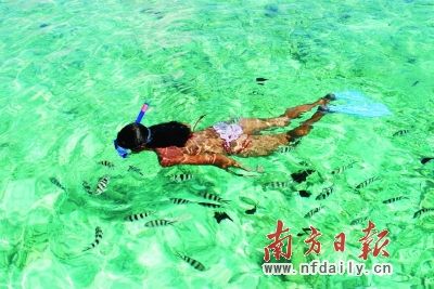 塞舌尔:地球上最后的伊甸园(图)