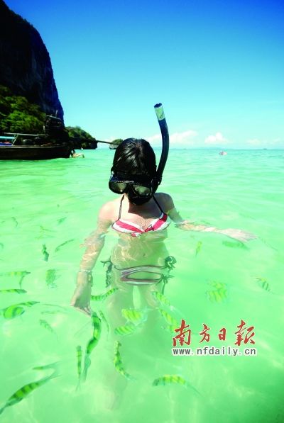 潜入水中 泰国甲米:左手是闲逸 右手是刺激(组图)