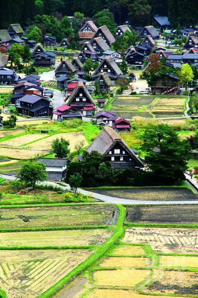 雅致白川乡 日本岐阜品读淡雅(图)