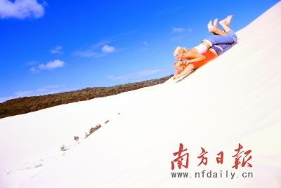 探寻海豚岛的奥秘 探寻海豚岛的奥秘(组图)
