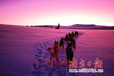 与爱斯基摩人为邻 巴芬岛的极地风光:到世界第五大岛探险(图)