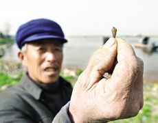 ��ˮ����ע��Ԥ��Ѫ���没