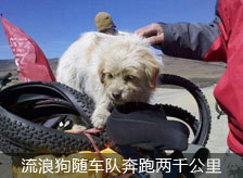 ���˹��泵�ӱ�����ǧ����ǰ������