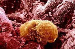 ���δ����������ͼƬ