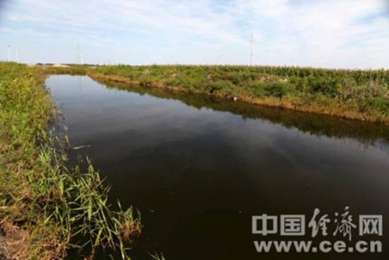 　距排水口3公里多的洪河下游，污水的去路被拦死，污水蓄积成了一个大型污水湖。(蒋毅坤/摄)