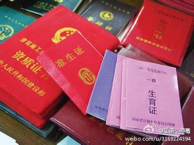 中国人口老龄化_中国人口身份证网