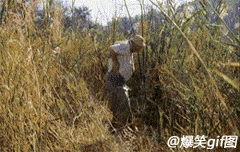 �Բۣ�����أ�