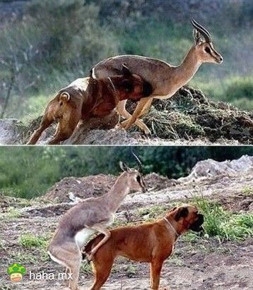 ���˴����Թ�ȥ���ԣ�������˿��ˡ�