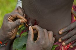 ��������������
