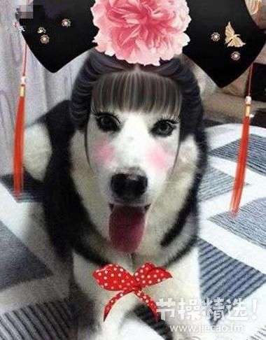 节操精选:疑范爷男友曝光