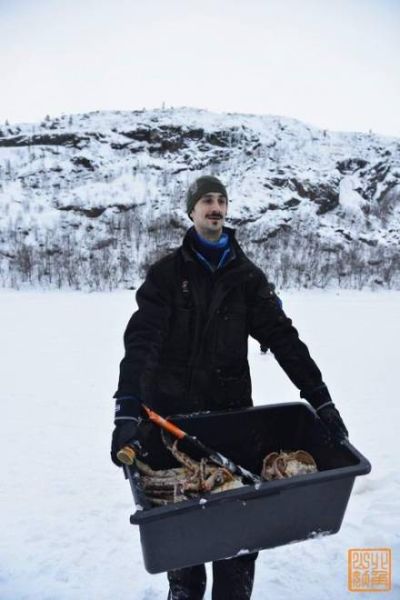 吃货福利:挪威帝王蟹疯狂增殖|挪威|吃货|帝王蟹