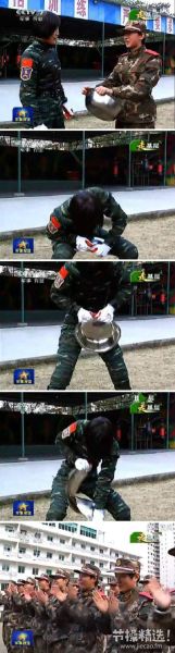 节操精选节操精选141231：百无聊赖的猫生啊！
