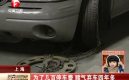 ��Ƶ������Ϊ����Ԫͣ���Ѷ������������