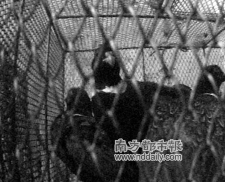 广东国家森林公园门口餐馆公开宰售野生动物