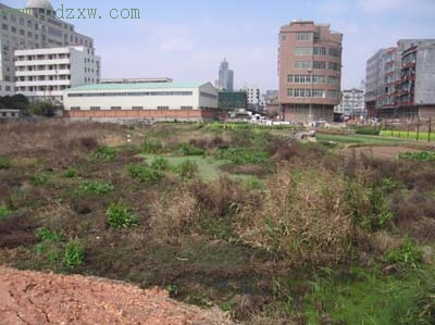 晋江青阳年底新建一所公办幼儿园