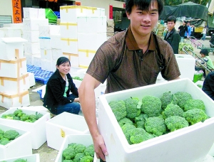 叶菜类蔬菜价降至今年最低
