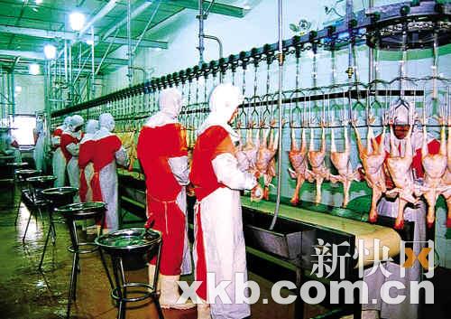 中央大厨房6月现雏形